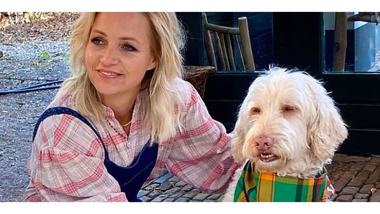Illustratie voor: Hond Yvon Jaspers weer klaar voor opnames Boer Zoekt Vrouw