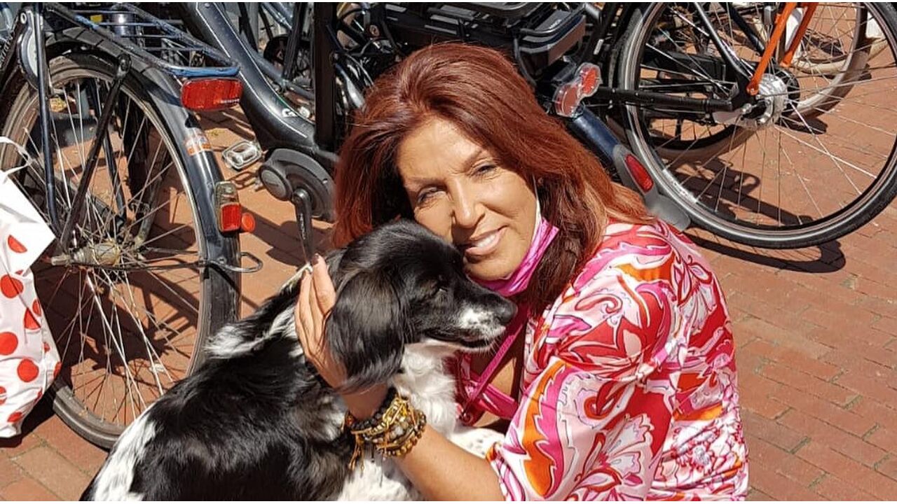 rachel hazes