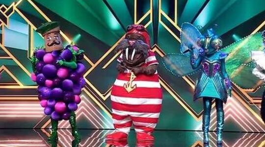 geldboete masked singer
