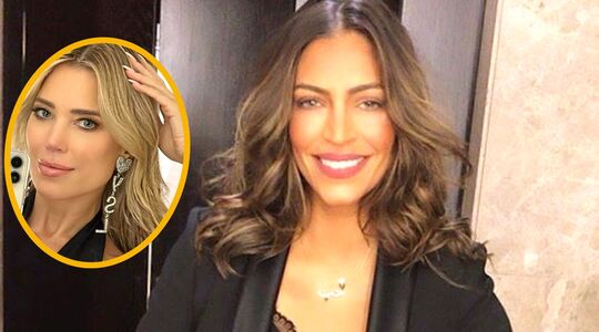 Voormalig vriendin Sylvie Meis deelt kritiek