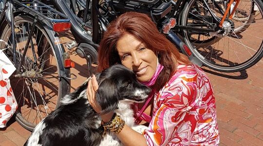 rachel hazes