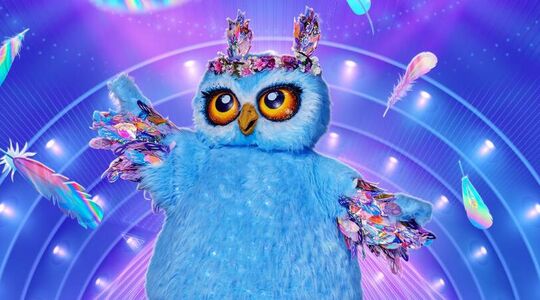 winnares masked singer blikt terug