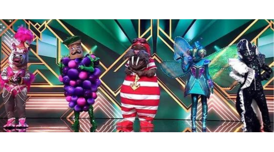 geldboete masked singer