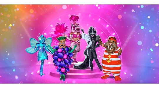 Pakkendokter The Masked Singer