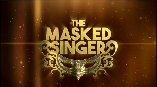 the masked singer verdachte bn'er