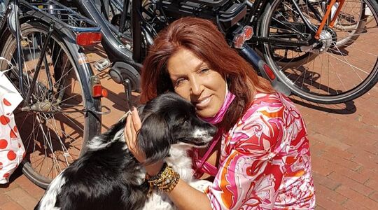 rachel hazes