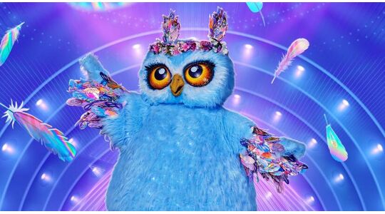 winnares masked singer blikt terug